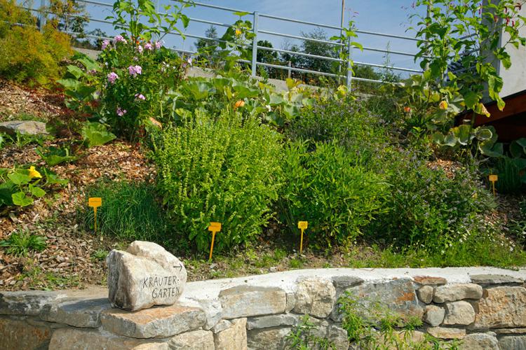 Aromatic herb garden