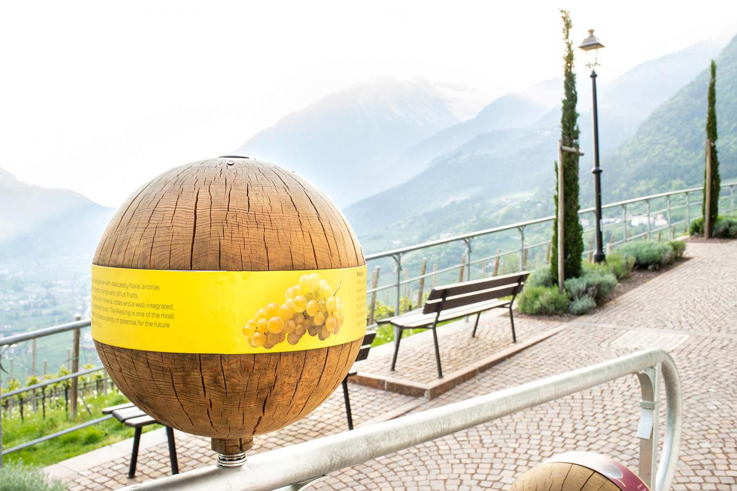 Wine-themed trail in Dorf Tirol